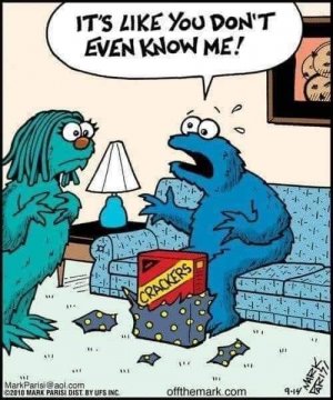 Cookie Monster.jpg