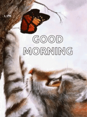 24fefd0566b492151cb0ba912fe28ad8[1].gif
