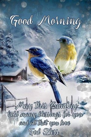 Good-Morning-Sunday-Winter-Pictures.jpg