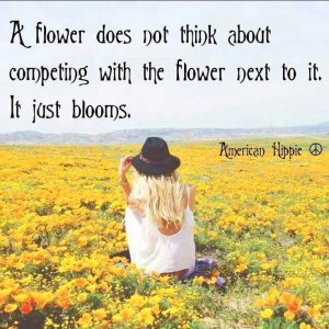 hippieblooms.jpg