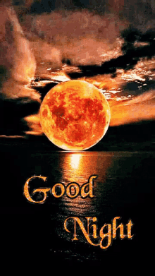 goodnight.gif
