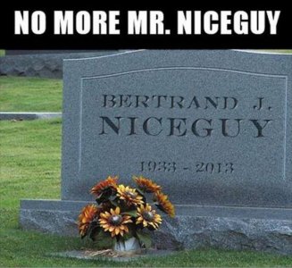 mr-nice-guy.jpg