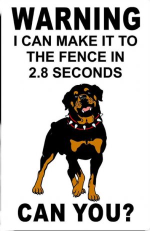 Screenshot at 2023-01-30 08-22-16.jpg