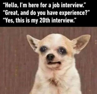jobinterview.jpg