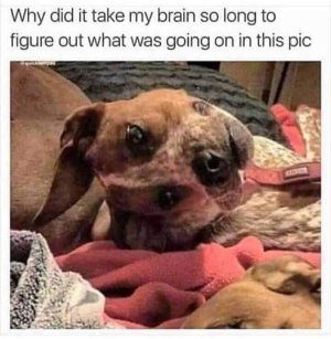 tilt.jpg