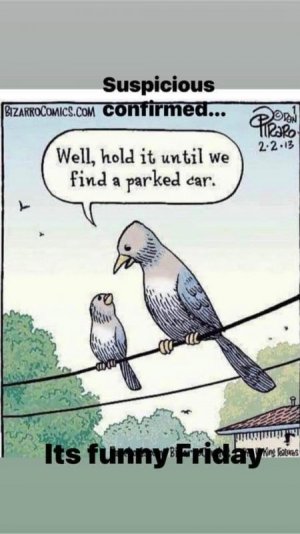 FB_IMG_1674854370940.jpg