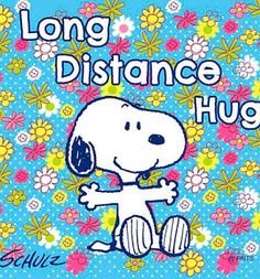 2b1bc9b2c6492bceeab9f81fe73a534f[1].jpg