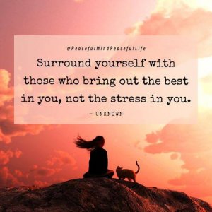 Surround w:Best not Stress.jpg
