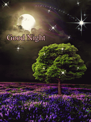 395001-Full-Moon-Stars-Good-Night-Gif.gif
