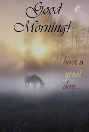 FB3E741F-CF9E-4BE0-AB28-A21CE84F5881.jpeg