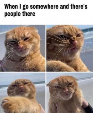 peoplethere.jpg