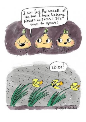 sprout.jpg