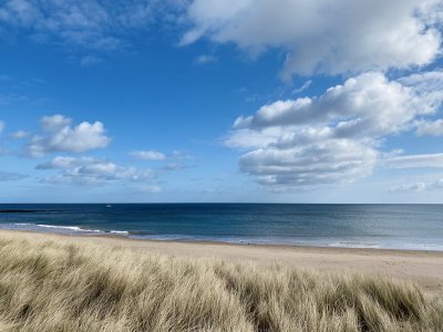 beach morn 700 b.jpg