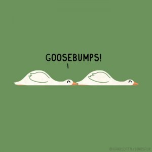 Artist-Places-Animals-In-Funny-Situations-That-We-Can-All-Relate-To8.jpg