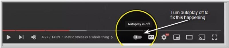 auto.jpg