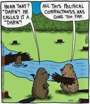 FB_IMG_1675207041670.jpg