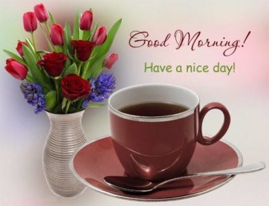 389711-Vase-Of-Flowers-Coffee-Good-Morning-Have-A-Nice-Day.jpg