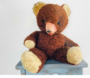 ted fin.jpg ted fin.jpg