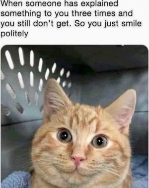 FB_IMG_1675290735248.jpg