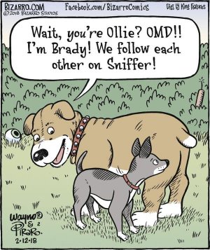 snifferfollow.jpg