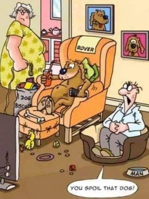 spoileddog.jpg