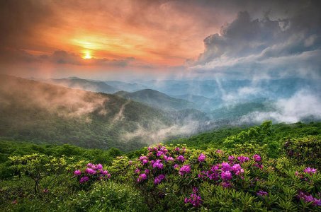 north-carolina-blue-ridge-parkway-spring-appalachian-mountains-nc-dave-allen.jpg