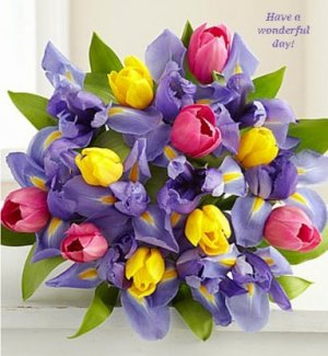 tulips.jpg