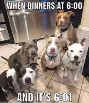 FB_IMG_1673694472260.jpg