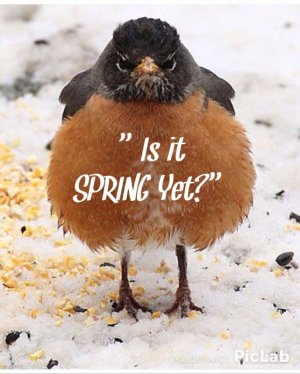 A6794E85-5F5B-4E6C-ACC3-345DE42834F9.jpeg