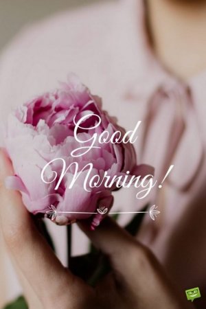 2a70e2bbbd8461aea23f4ad584f3362a.jpg