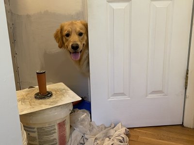 Building Inspector.jpg