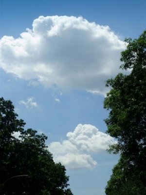 fair weather clouds in summer.jpg