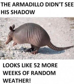 328581758_1223680351913157_7705138343763900716_n.jpg