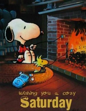 Saturday cozy.jpg
