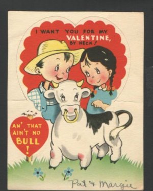 bull.jpg