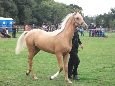 DSCF2106.JPG