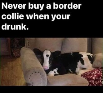 E7B6E182-B918-4B9E-88EE-5AE547024DB9.jpeg