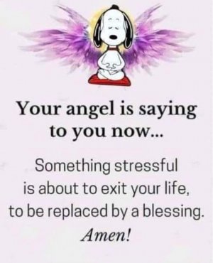 FB_IMG_1675563617792.jpg