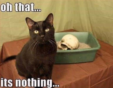 nothing.jpg