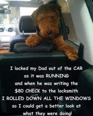 FB_IMG_1675568445774.jpg