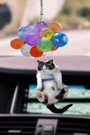 birthday cat 8.jpg