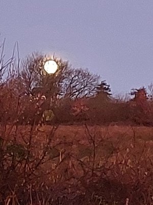 20230205_072758.jpg