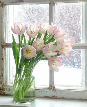 feb.jpg