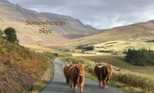 Skye.jpg