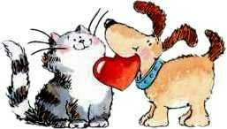 cat & dog.jpg