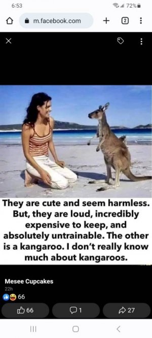 1000000800.jpg