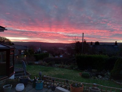 20230206_073048.jpg