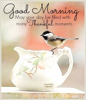 186378-Good-Morning-May-Your-Day-Be-Filled-With-Thankful-Moments.jpg