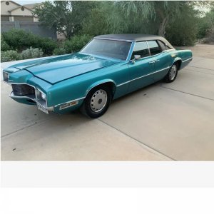 70bird.jpg