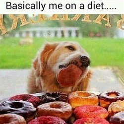 me on diet.jpeg